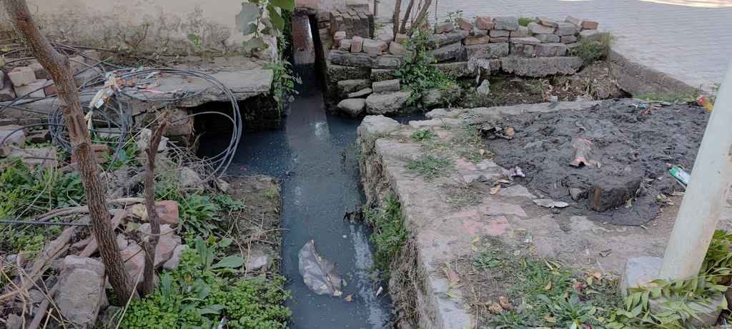 बलदेव नगर स्थानीय निवासी गोबिंद शर्मा। संवाद बलदेव नगर स्थानीय निवासी गोबिंद शर्मा। संवाद