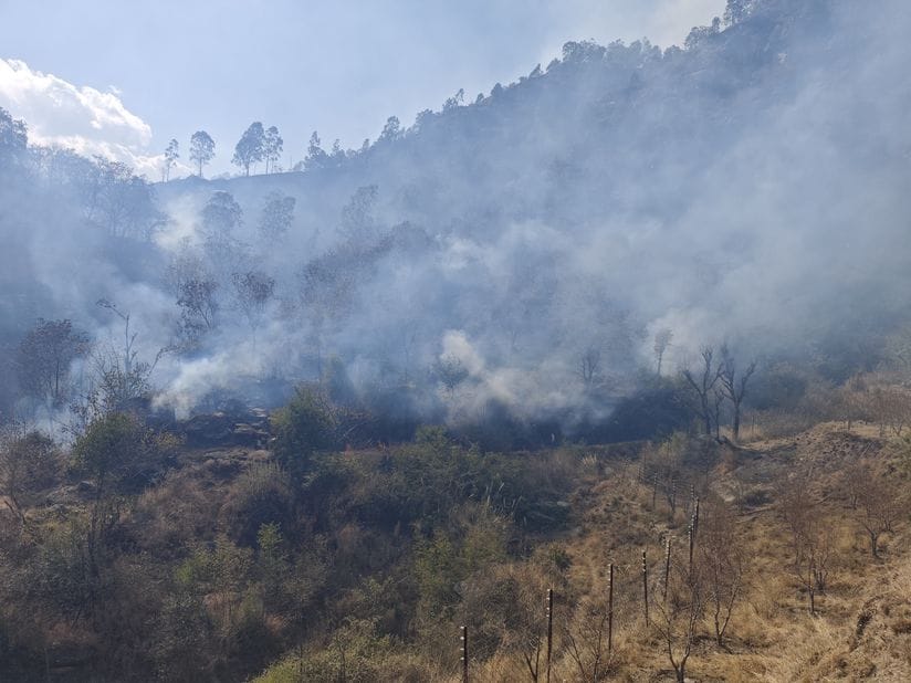 उप तहसील नित्थर के आनस में जंगल में फैली आग। संवाद उप तहसील नित्थर के आनस में जंगल में फैली आग। संवाद