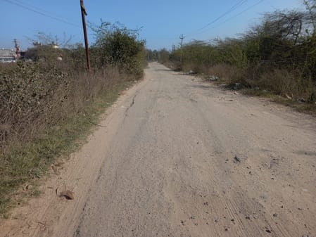 अंबाला छावनी के वार्ड नंबर पांच में सड़क किनारे बिखरी गंदगी। संवाद