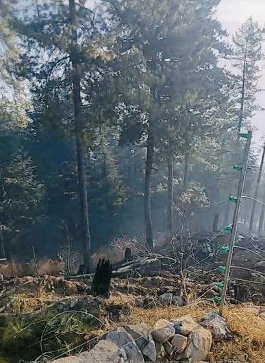 नित्थर के शिल्लाबंगला फारेस्ट साईट में लगी आग । संवाद
