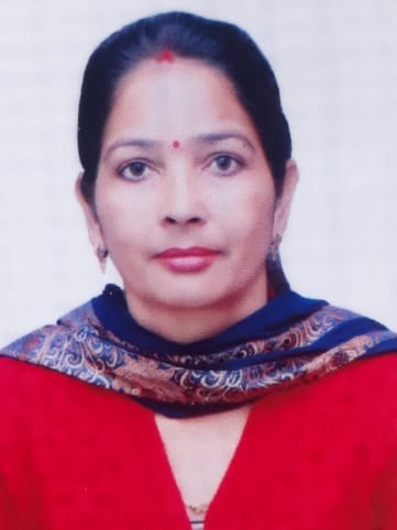 नगर परिषद सदर के अधीन वार्ड नंबर आठ में खाली पड़े प्लॉट के हालात। संवाद नगर परिषद सदर के अधीन वार्ड नंबर आठ में खाली पड़े प्लॉट के हालात। संवाद