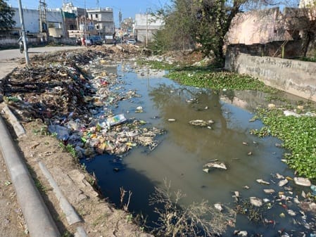 नगर परिषद सदर के अधीन वार्ड नंबर आठ में खाली पड़े प्लॉट के हालात। संवाद नगर परिषद सदर के अधीन वार्ड नंबर आठ में खाली पड़े प्लॉट के हालात। संवाद