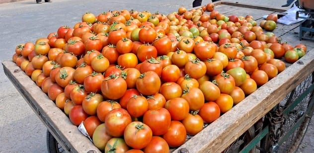 रहेड़िया गांव में फसल को उजाड़ता किसान। संवाद