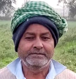 रहेड़िया गांव में फसल को उजाड़ता किसान। संवाद