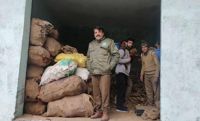 50 Quintals Of Kasmal Roots Confiscated By Breaking The Lock Of The ...
