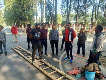 चौधरी चरण सिंह विश्वविद्यालय में मधुमक्खियां के छते को तोड़ते हुए लोग चौधरी चरण सिंह विश्वविद्यालय में मधुमक्खियां के छते को तोड़ते हुए लोग