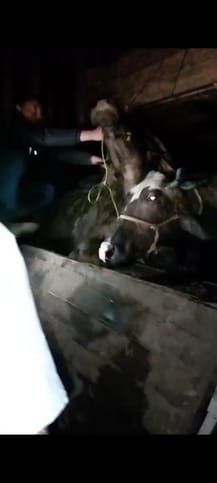 कंटेनर जप्त