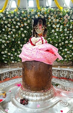 महाशिवरात्रि महापर्व 4 लाख से अधिक भक्तो ने किए श्री महाकालेश्वर भगवान के दर्शन महाशिवरात्रि महापर्व 4 लाख से अधिक भक्तो ने किए श्री महाकालेश्वर भगवान के दर्शन