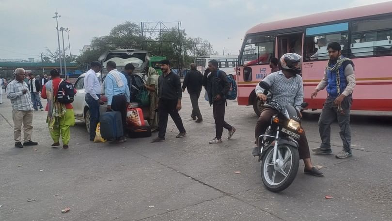 अंबाला छावनी बस स्टैंड परिसर में यात्रियों के बीच घूम रहे बेसहारा गोवंश। संवाद