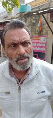 शहर के मॉडल टाउन में घूमते बेसहारा गोवंश। संवाद शहर के मॉडल टाउन में घूमते बेसहारा गोवंश। संवाद