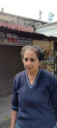शहर के मॉडल टाउन में घूमते बेसहारा गोवंश। संवाद शहर के मॉडल टाउन में घूमते बेसहारा गोवंश। संवाद