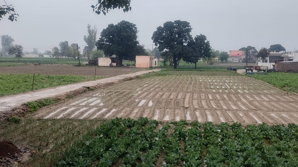 ऊना में बारिश के बीच गंतव्य की ओर जाती युवतियां। संवाद ऊना में बारिश के बीच गंतव्य की ओर जाती युवतियां। संवाद