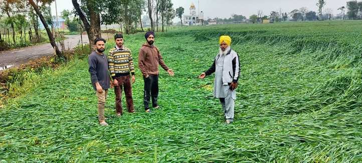 ऊना में बारिश के बीच गंतव्य की ओर जाती युवतियां। संवाद ऊना में बारिश के बीच गंतव्य की ओर जाती युवतियां। संवाद