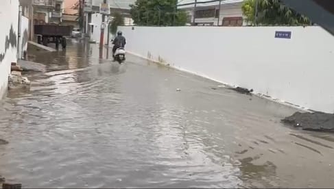 फोटो 17- जमीं पर बिछे अरमान...सोनीपत के गांव रोहट में बारिश के बाद जमीन पर बिछी गेहूं की फसल। र