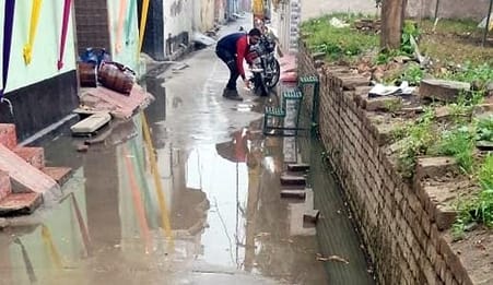 फोटो 17- जमीं पर बिछे अरमान...सोनीपत के गांव रोहट में बारिश के बाद जमीन पर बिछी गेहूं की फसल। र