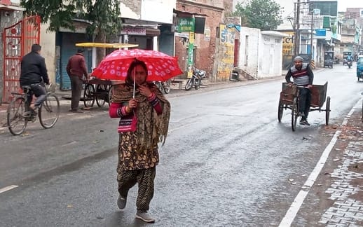 शुक्रवार की रात बारिश और तेज हवा से कुर्रियाकलां के खेत में गिरी गेहूं की फसल। संवाद शुक्रवार की रात बारिश और तेज हवा से कुर्रियाकलां के खेत में गिरी गेहूं की फसल। संवाद