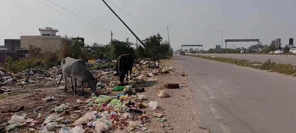 राष्ट्रीय राजमार्ग पर स्थित नई सब्जि मंडी की सर्विस लेन पर पड़ा कचरा। संवाद राष्ट्रीय राजमार्ग पर स्थित नई सब्जि मंडी की सर्विस लेन पर पड़ा कचरा। संवाद