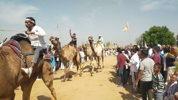 फोटो संख्या:60- बाबा मोलड़नाथ मेले में बकरे का नृत्य करवाता प्रतिभागी--संवाद फोटो संख्या:60- बाबा मोलड़नाथ मेले में बकरे का नृत्य करवाता प्रतिभागी--संवाद