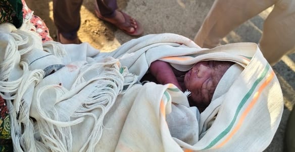 डॉग स्क्वाड की टिम सर्चिंग करते हुए