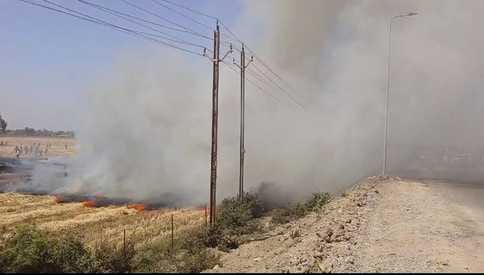 किसान के खड़ी  फसल जलकर हुई खाक