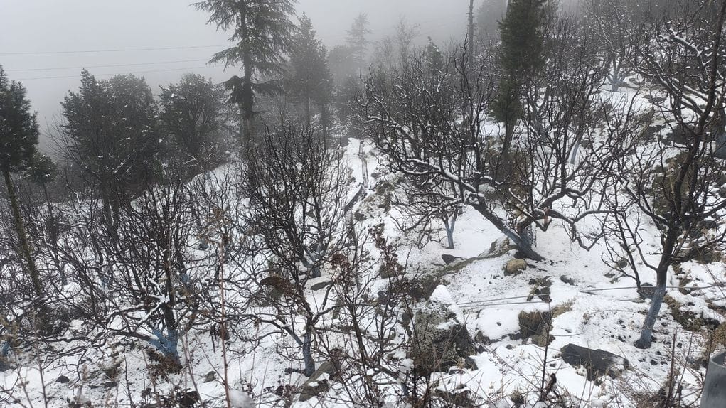 पूर्वनी झूला के पास भूस्खलन होने से बंद सड़क को बहाल करने में जुटे लोग। स्त्रोत जागरूक पाठक