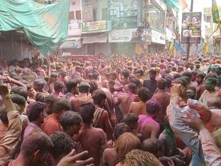 सीहोर। महादेव की होली में बड़ी संख्या में पहुंचे भक्त