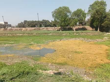 ग्राम पंचायत सराय सुंदरपुर में बना अमृत सरोवर।संवाद ग्राम पंचायत सराय सुंदरपुर में बना अमृत सरोवर।संवाद