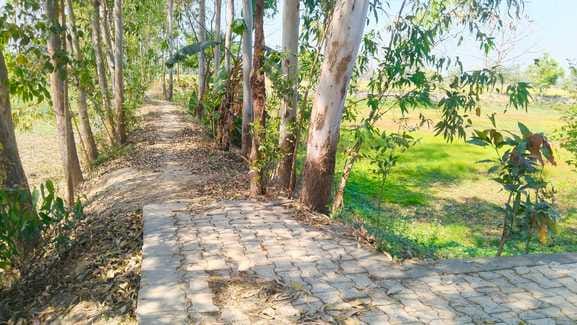 ग्राम पंचायत सराय सुंदरपुर में बना अमृत सरोवर।संवाद ग्राम पंचायत सराय सुंदरपुर में बना अमृत सरोवर।संवाद