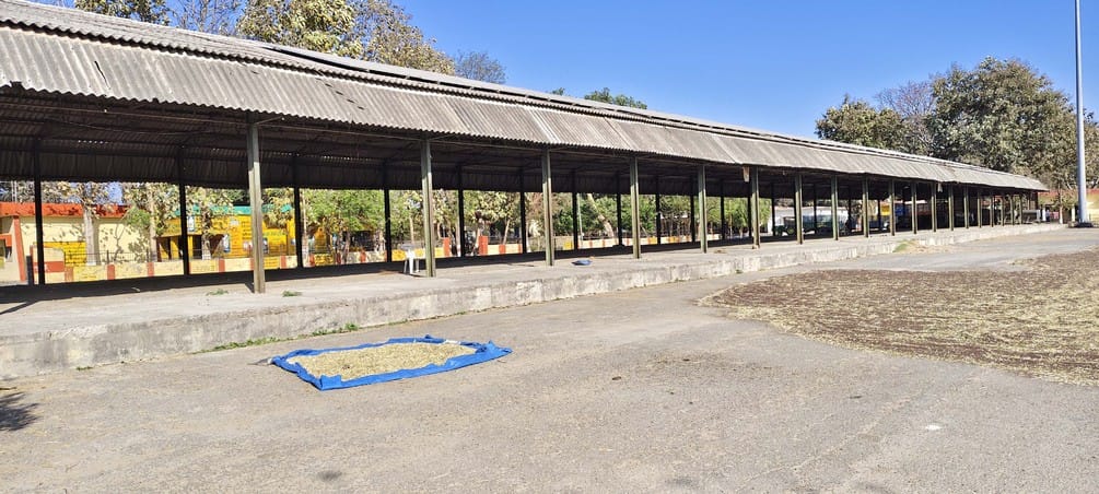 रोजा मंडी समिति में स्थापित केंद्र पर खाली बैठे कर्मचारी। संवाद