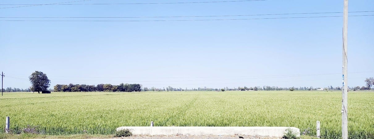 रोजा मंडी समिति में स्थापित केंद्र पर खाली बैठे कर्मचारी। संवाद