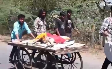वानरराज को लगा था करंट, सनातनियों ने ऐसी अंतिम यात्रा निकाली की शहरवासियो की आँखे हो गई नम