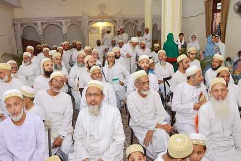 1000 से अधिक बर्ड फीडर वितरित किए 1000 से अधिक बर्ड फीडर वितरित किए