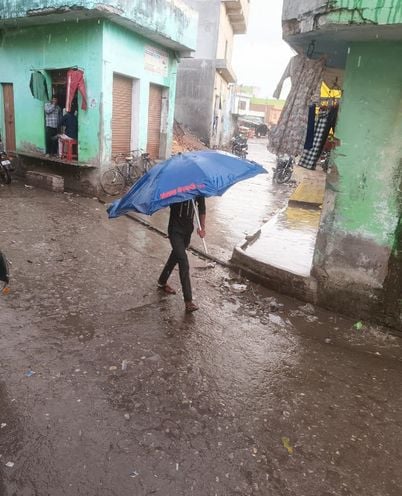 बारिश के बाद गेहूं की फसल को दिखाता किसान। संवाद बारिश के बाद गेहूं की फसल को दिखाता किसान। संवाद