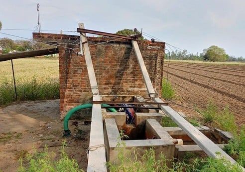 बारिश के बाद गेहूं की फसल को दिखाता किसान। संवाद बारिश के बाद गेहूं की फसल को दिखाता किसान। संवाद