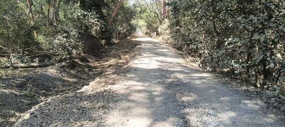 गजरौला से लालपुर शिवनगर जाने वाली सड़क का हाल। संवाद गजरौला से लालपुर शिवनगर जाने वाली सड़क का हाल। संवाद