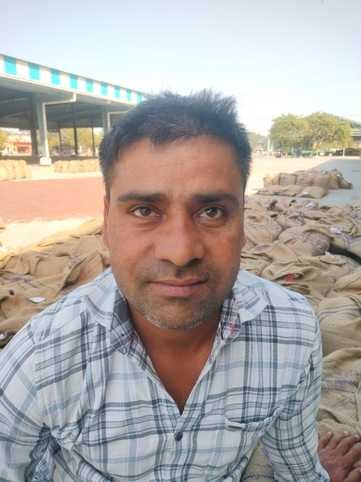 फोटो-28सीटीके55 मंडी में ट्राॅली से सरसों उतारते हुए। संवाद