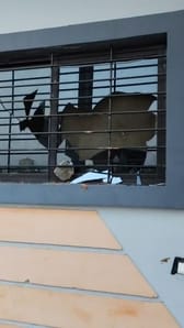 मंगल सागर कॉलोनी में मचा था उत्पात, 10 मकान और गाड़ियों के फोड़े गए थे कांच, रहवासी समझे थे चोर