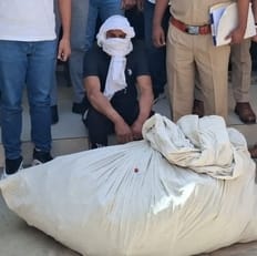 सोनीपत में राजीव गांधी एजुकेशन सिटी, राई में स्थित वर्ल्ड यूनिवर्सिटी ऑफ डिजाइन में उगाए गए अफी सोनीपत में राजीव गांधी एजुकेशन सिटी, राई में स्थित वर्ल्ड यूनिवर्सिटी ऑफ डिजाइन में उगाए गए अफी
