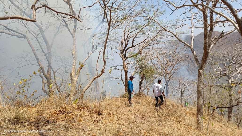 सिरोही। लगातार दूसरे दिन भी जारी रही माउंटआबू-आबूरोड मार्ग पर जंगलों में लगी आग।