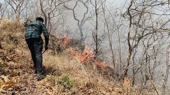 सिरोही। लगातार दूसरे दिन भी जारी रही माउंटआबू-आबूरोड मार्ग पर जंगलों में लगी आग।