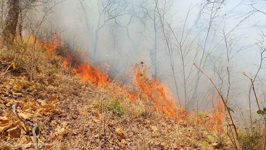 सिरोही। लगातार दूसरे दिन भी जारी रही माउंटआबू-आबूरोड मार्ग पर जंगलों में लगी आग।