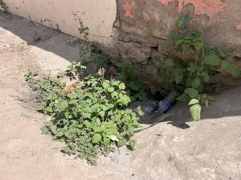 02सीटीके10 अधिवक्ता कृष्ण कुमार खीरबाट, महासचिव आरडब्ल्यूए, सेक्टर-1। 02सीटीके10 अधिवक्ता कृष्ण कुमार खीरबाट, महासचिव आरडब्ल्यूए, सेक्टर-1।