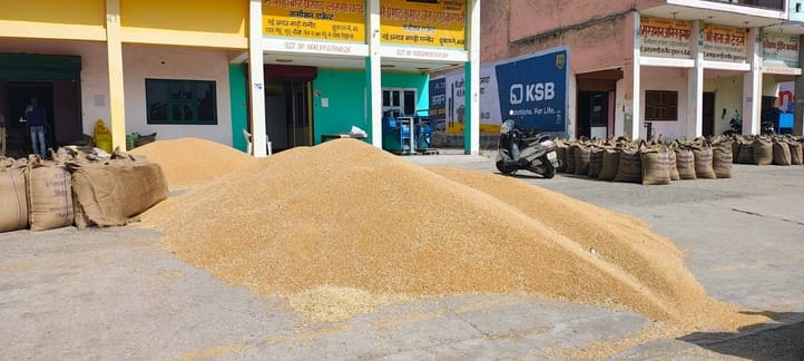 फोटो 16 : सोनीपत की गन्नौर अनाज मंडी में पहुंची गेहूं की ढेरी। संवाद फोटो 16 : सोनीपत की गन्नौर अनाज मंडी में पहुंची गेहूं की ढेरी। संवाद