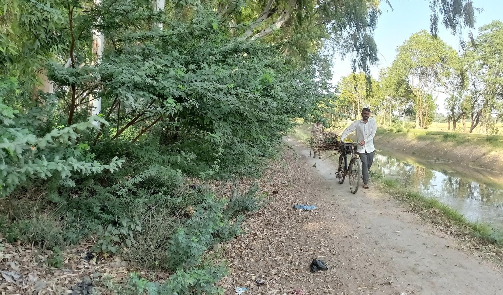 नहर की पटरी के साथ फैंकी नशे के लिए प्रयोग की गई सिंरिज व अन्य वस्तुएं। संवाद नहर की पटरी के साथ फैंकी नशे के लिए प्रयोग की गई सिंरिज व अन्य वस्तुएं। संवाद