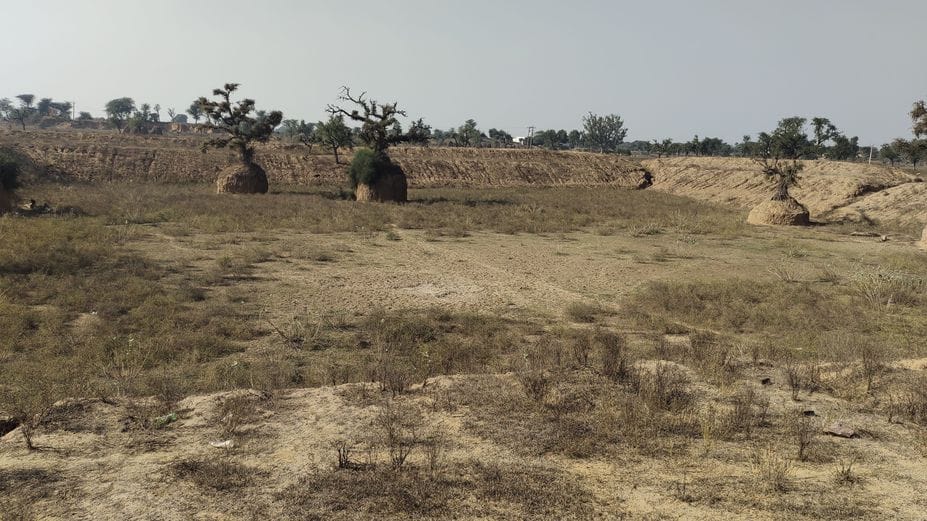 फोटो संख्या:72-गांव बुचौली   जोहड़ में कम पानी--संवाद