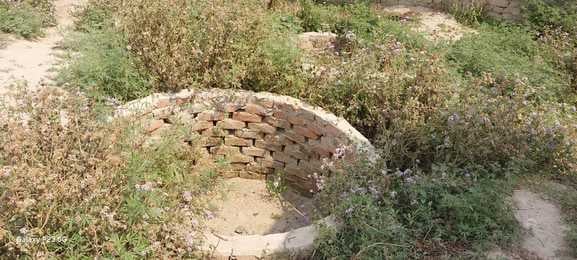 जंगल में बने बिजुआ के बहादुरनगर के सामुदायिक शौचालय का यह हाल, जिसका आज तक इस्तेमाल नहीं हो सका
