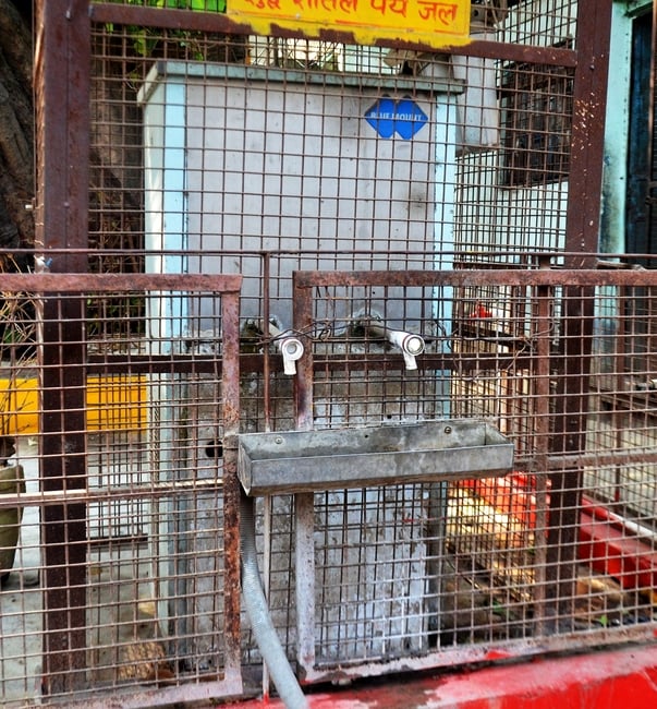 मालखाना मोड़ स्थित शेरों वाले मंदिर के पास लगे फ्रीजर से गायब टोंटियां। संवाद