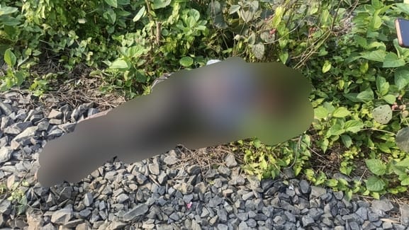 घटनास्थल पर मौजूद लोग घटनास्थल पर मौजूद लोग