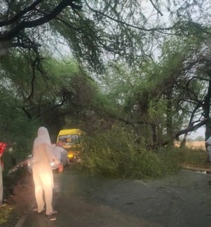 टोहाना क्षेत्र में गिरा बिजली का खंभा। सोशल मीडिया टोहाना क्षेत्र में गिरा बिजली का खंभा। सोशल मीडिया