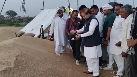 फोटो 23: सोनीपत अनाज मंडी में लगी गेहूं की ढेरियां व बैग। संवाद फोटो 23: सोनीपत अनाज मंडी में लगी गेहूं की ढेरियां व बैग। संवाद